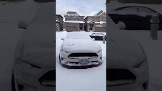 Winter morning routine after a strong snow storm🥶 #canada #canadianwinter #mustang #musclecar