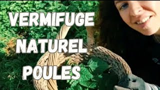 Vlog 10 : Vermifuge naturel pour les poules et recette d'automne