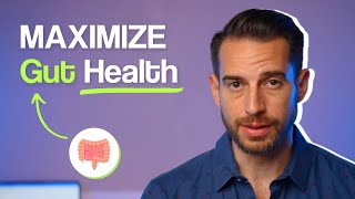 Do THIS to INSTANTLY Improve Your Gut Health with Doctor Mike Hansen