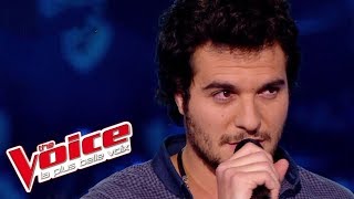 Fredericks Goldman Jones – Né en 17 à Leidenstadt | Amir Haddad | The Voice 2014 | Épreuve Ultime