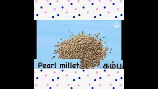 சிறு தானியங்கள் அதன் பயன்கள் different  types of millets and its uses siruthaniyangal