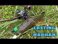 #EP791 Ada Rezeki nak Buat Lauk - casting ikan haruan/gabus