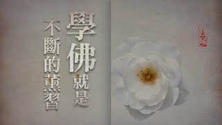 淨空法師法語精華-學佛就是不斷的薰習