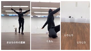 黒もしょ～ず、くるんくるんじりじりとドッグダンス練習をする（Today's Instagram Stories 2022年1月31日）