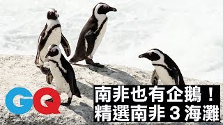 南非開普敦的 3 大超美海灘｜旅行｜GQ