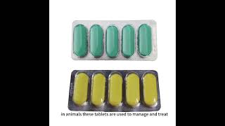 Albendazole tablets