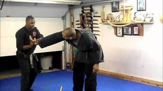 Bujinkan Butoku Dojo training # 78