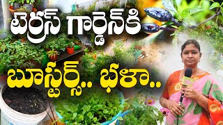 అవసరమైన పంటలే.. అందంగా అల్లుకున్నాయి || Terrace Gardening || Srujana