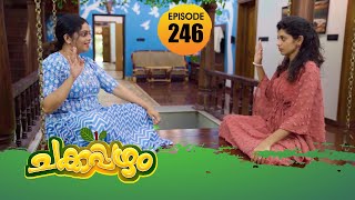 Chakkappazham 2│Comedy Series│EP# 246