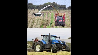 AL Agri videos; B.A Paxton Mazie harvest