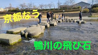 1月2日 京都『鴨川の飛び石』（特派員S）