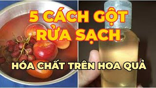 Chuyên gia mách bạn 5 cách rửa hoa quả đơn giản gột sạch hóa chất - Kênh Hướng Dẫn