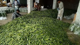 Village Life In Pakistan | Swabi Tordher | Sabzi Mandi | Khyber Pakhtunkhwa Rural life