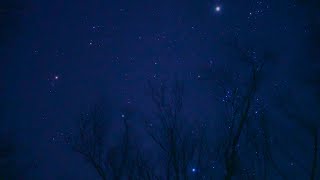 真夜中の桜並木で見た冬の超大三角（SONYα7SⅢリアルタイム動画）