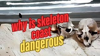 Exploring the Mysteries of Skeleton