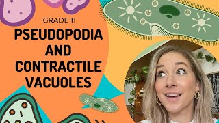 Protista | PSEUDOPODIA and CONTRACTILE VACUOLE