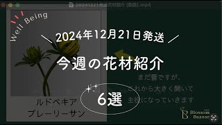 2024年12月21日（土）発送花定期便のお花たち