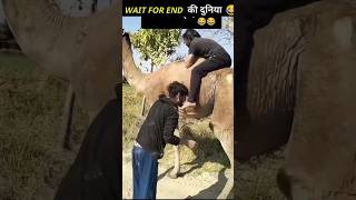 😂इन लोगों के Funny कारनामे देख हंसी नहीं रुकेगी WAIT FOR😂 TWIST#funnyvideo#short