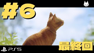 【PS5】Stray(ストレイ) #6 最終回 【実況配信アーカイブ】カメラ付き