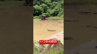 【トラクター】【田んぼ】いつかの休日 #tractor #japanlife #農業