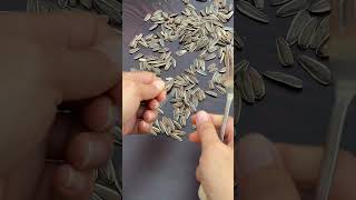 Easy Life Hack 2023 || How to remove the skin from sunflower seeds. #viral #lifehack #shorts #flower