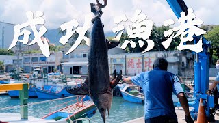 台東美食｜成功漁港｜超值宅配漁獲箱｜CINEMATIC VLOG SHOT ON SONY FX6｜ft.旗遇海味