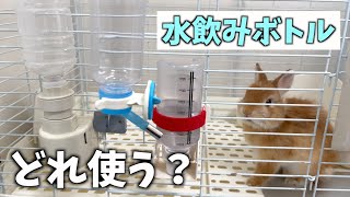 【考察】うさぎに最適な給水ボトルは何？【ネザーランドドワーフのコッペ】