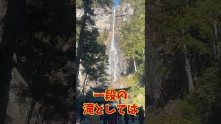 【日本三名爆】和歌山県那智の滝！#日本三名爆#日本一#和歌山県