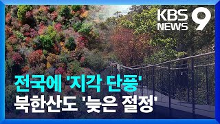 북한산 역대 가장 늦은 단풍 절정…생태계 혼란 우려 [9시 뉴스] / KBS  2024.11.04.