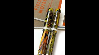 New Delta Gallery Mid-Size Fountain Pen - Where No Two Pens Are the Same