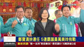 力拚桃園變綠地蔡全力輔選拉抬小雞