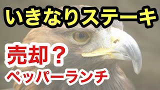 【いきなりステーキ！ペッパーランチ売却？】ペッパーフードサービスの虎の子ペッパーランチ新会社JPを売る⁈#15