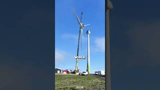 Why are the bottom of wind turbines painted green?