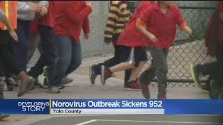 Norovirus Spreads Throughout Yolo County School Districts