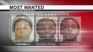 TUSCALOOSA'S MOST WANTED: APRIL 27, 2016