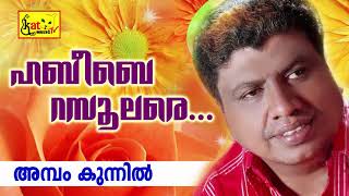 അമ്പം കുന്നിൽ |Habeebay Rasoole Re|Mappila Album Song