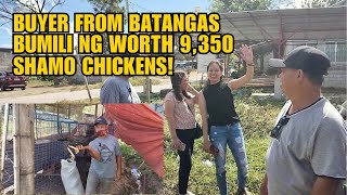 BUYER FROM BATANGAS BUMILI NG WORTH 9,350 SHAMO CHICKENS!