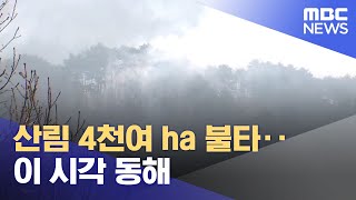 산림 4천여 ha 불타‥이 시각 동해 (2022.03.07/뉴스특보/MBC)