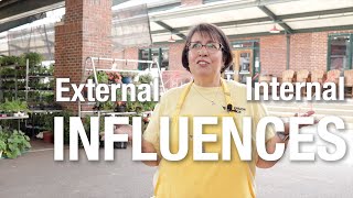 Rethink Your Drink: Internal and External Influences