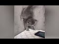 Guilty Dog and cat is so funny😹🐕Try Not to Laugh😺2024 Part 12