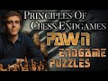 Test Your Pawn Endgame Knowledge, Part 1 | Principles of Chess Endgames | GM Naroditsky