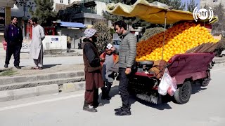 Roadside seller of Iranian grapefruits at Salim Karwan / فروشنده مالته ایرانی در سرک سلیم کاروان