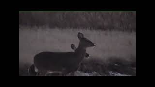 40-82 Rifle Deer Hunt