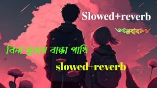 Bina sutoy bandha pakhi (slowed +reverb)..new Lo-Fi song.. saimon.. mahiya mahi...ND Nabab