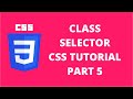 Class Selector Sheet CSS | CSS Tutorial Part 5