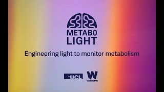 MetaboLight: Engineering light to monitor metabolism