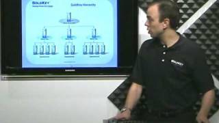 GoldKey Hierarchy