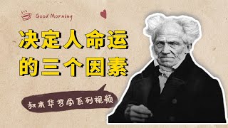 叔本华：决定一个人命运有3个要素，两个外在，一个内在【小播读书】