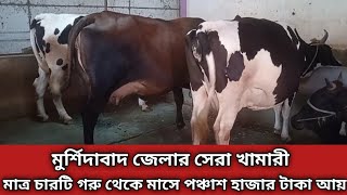 মুর্শিদাবাদ জেলার সেরা খামারী//মাত্র চারটি গরু থেকে প্রতিদিন ১০০ কেজি দুধ সংগ্রহ করছেন//Cow Farming