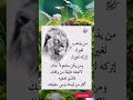 روائع الكلام الطيب #كلام_من_ذهب